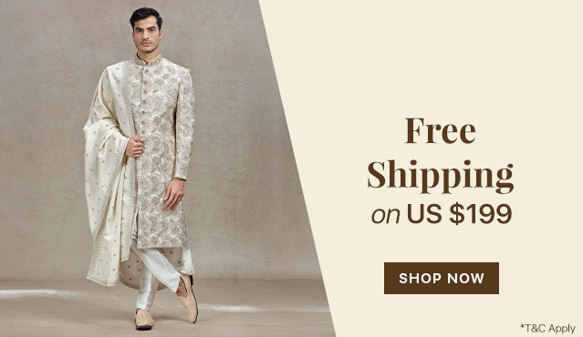 Special Free Shipping Offer